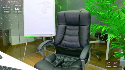 babesgowild @ chaturbate on 20250610