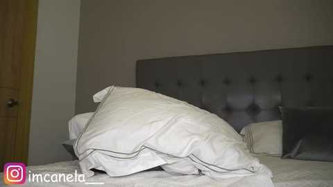 canelasungirl @ chaturbate on 20250611