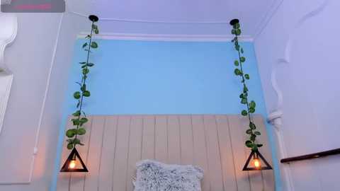 cellesteevans @ chaturbate on 20250611