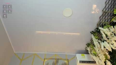 lia_myars @ chaturbate on 20250611