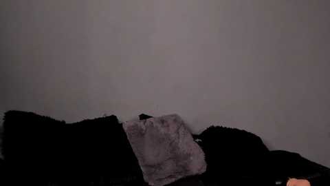 aliz_01