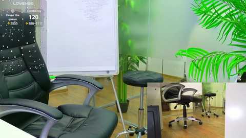 babesgowild @ chaturbate on 20250612