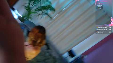 flirty_duo @ chaturbate on 20250612