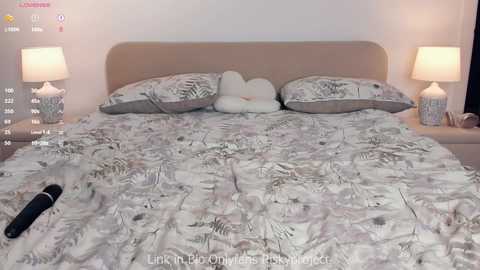 riskyproject @ chaturbate on 20250612