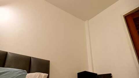 2bigcocksforu @ chaturbate on 20250613