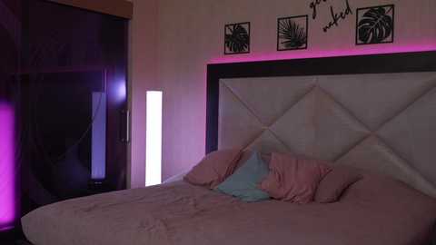 dreamgogo