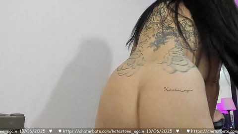 katestone_again @ chaturbate on 20250613