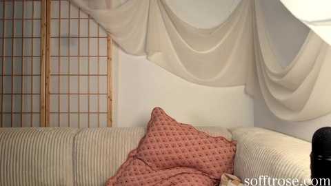 sofftrose @ chaturbate on 20250613