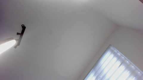 itsbellax @ chaturbate on 20250614
