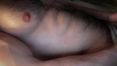 musclehair3
