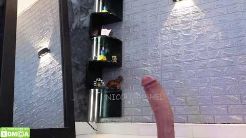 nicollbashel @ chaturbate on 20250614