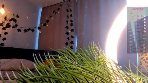 quennacindy @ chaturbate on 20250615