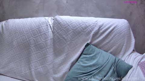 sellapink @ chaturbate on 20250615