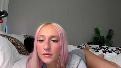 stellacorbet