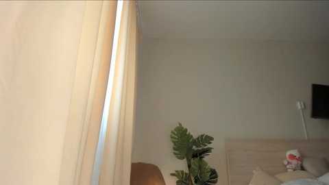 w1xll @ chaturbate on 20250615