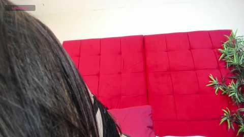 wanda_liones @ chaturbate on 20250615