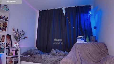 aciddroll @ chaturbate on 20250616