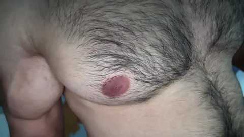 musclehair3