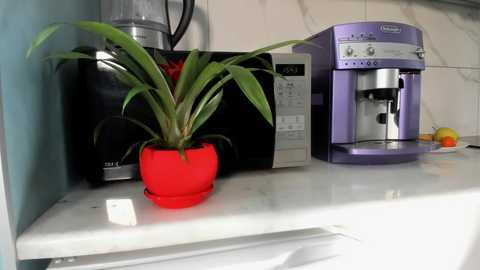 sweety_rinushka_ @ chaturbate on 20250616