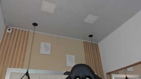 valentiina_henao @ chaturbate on 20250616