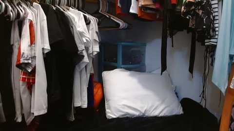 alannarack @ chaturbate on 20250619