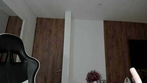 camilagomezz @ chaturbate on 20250619