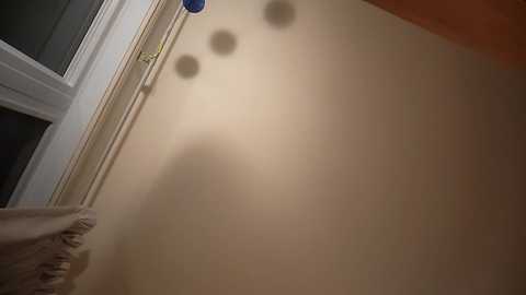 preetybeepop @ chaturbate on 20250619