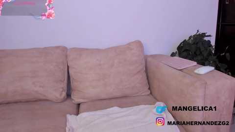 cute_molly18 @ chaturbate on 20250620