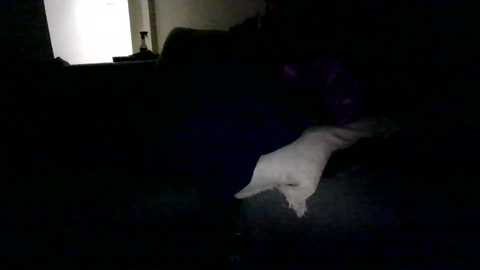 shenanig00n @ chaturbate on 20250620