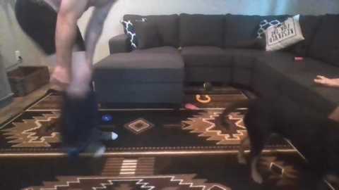 towerdude97 @ chaturbate on 20250623