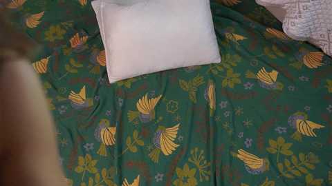 little_poetry @ chaturbate on 20250624