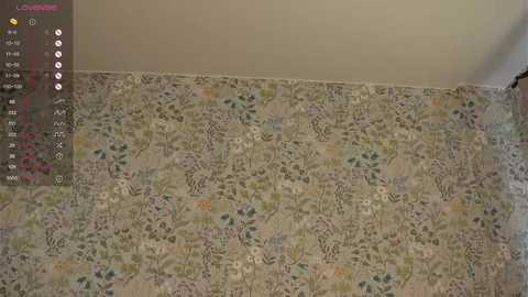 libbyshepard @ chaturbate on 20250625