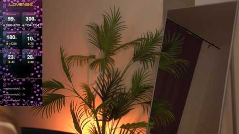 nemo_fishy @ chaturbate on 20250625