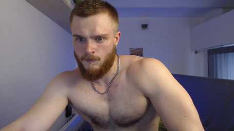 victortransman