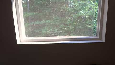 geekgirlkate @ chaturbate on 20250627