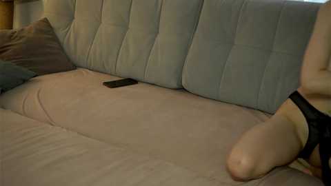 gerridae @ chaturbate on 20250627