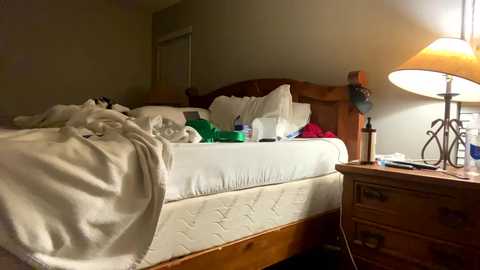 hottiewithabody101 @ chaturbate on 20250627