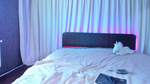 jesikalooove @ chaturbate on 20250627