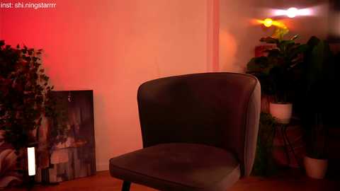 shiningstarrr @ chaturbate on 20250627