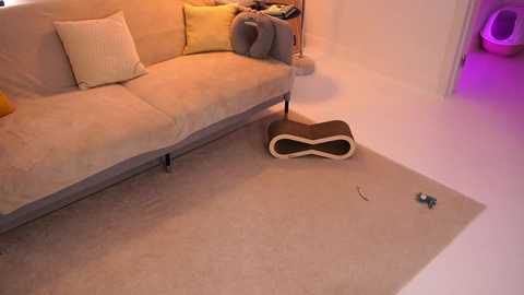 variety_moments @ chaturbate on 20250627