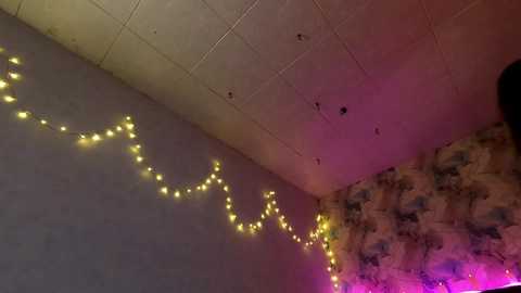 tits_your_dreams