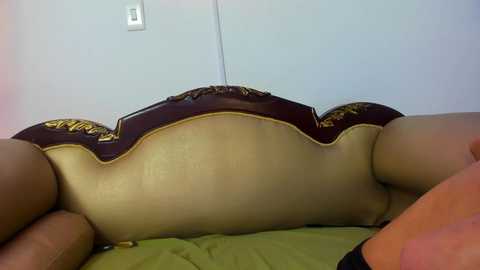 shadowlustt @ chaturbate on 20250629