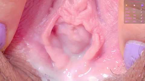 horny_moly @ chaturbate on 20250630