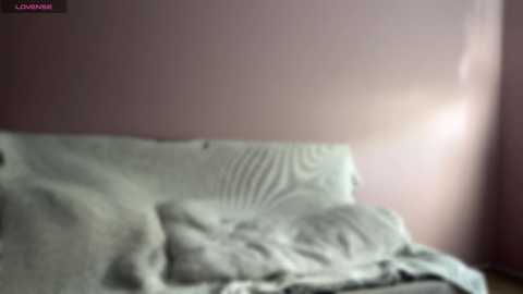 meowalice1