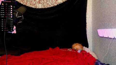 demmi_foxy @ chaturbate on 20250703