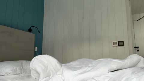 sweetdreamvic @ chaturbate on 20250703