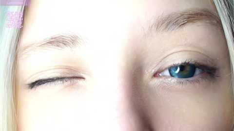 orasaro @ chaturbate on 20250704