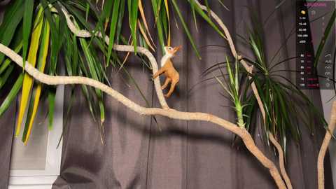 aronyou_win @ chaturbate on 20250705