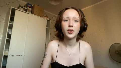 erlinafrary
