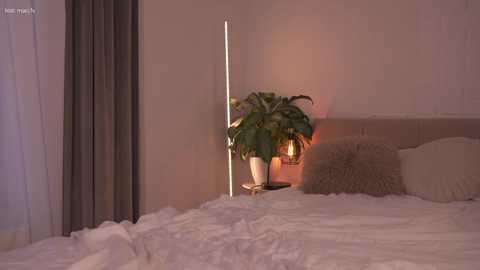 alissa_wxw @ chaturbate on 20250706